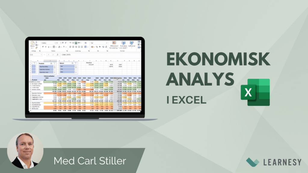 Ekonomisk analys i Excel